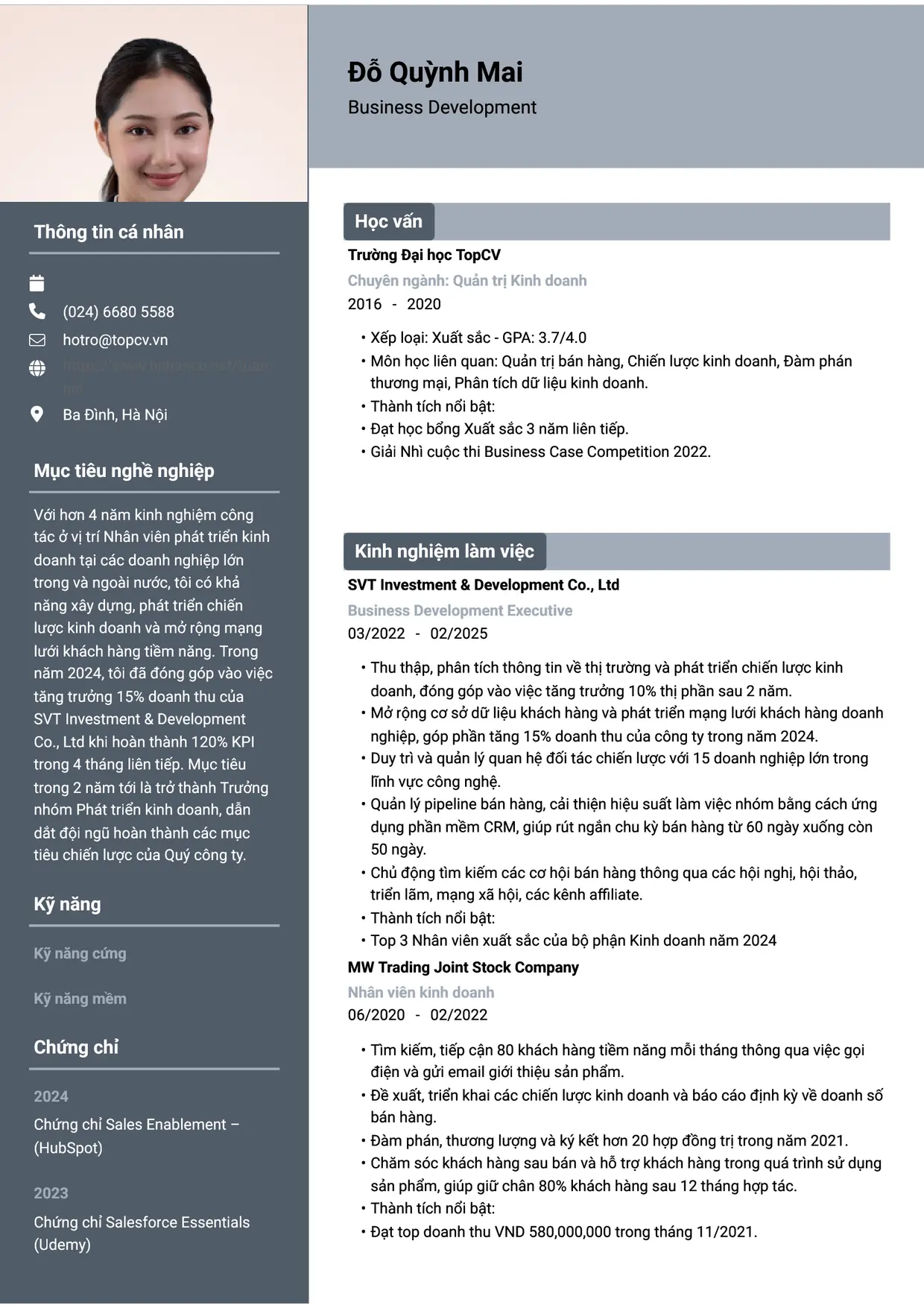 Mẫu CV xin việc Business Development Executive (Nhân viên phát triển kinh doanh) style Basic 1