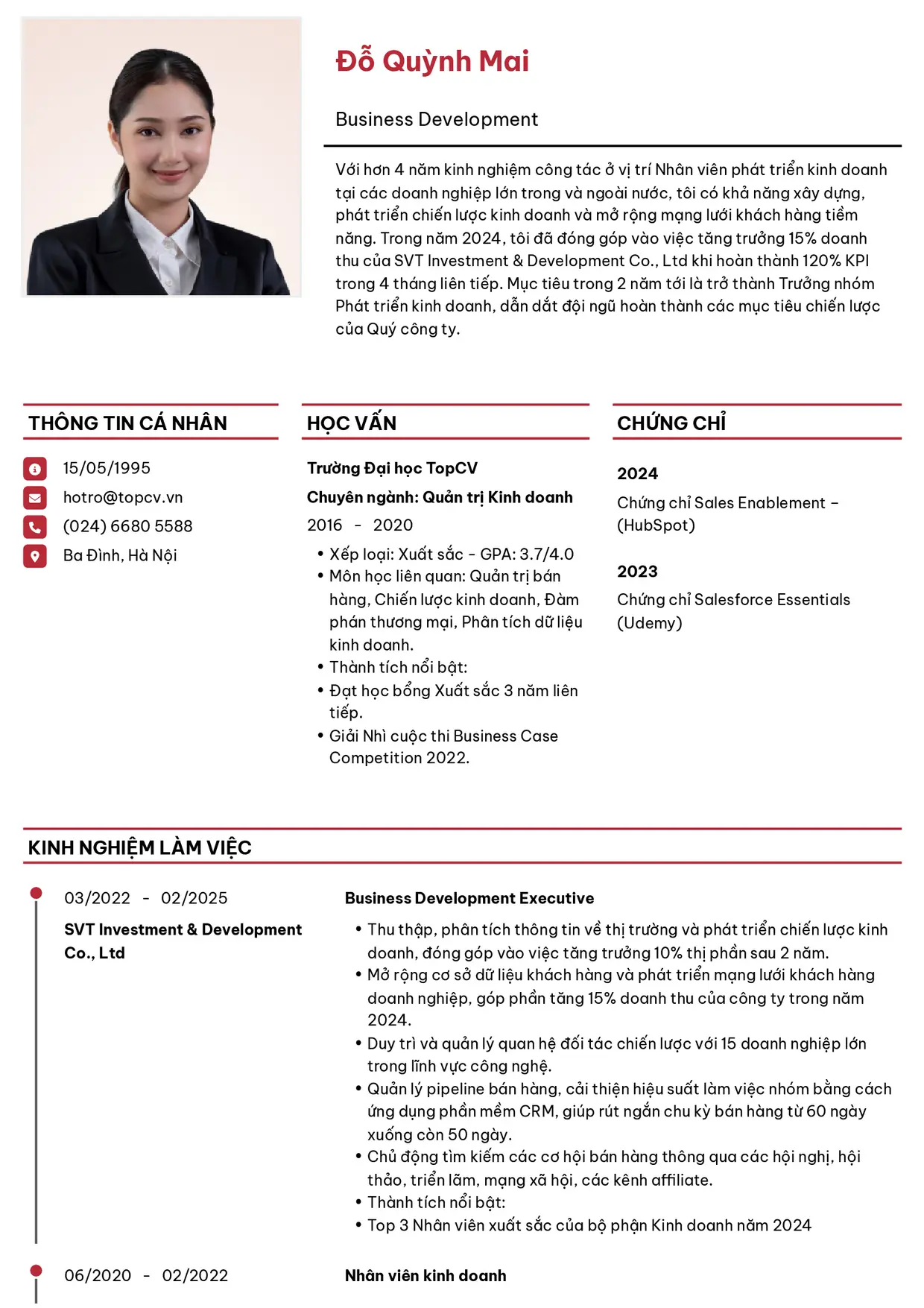 Mẫu CV xin việc Business Development Executive (Nhân viên phát triển kinh doanh) style Thanh lịch