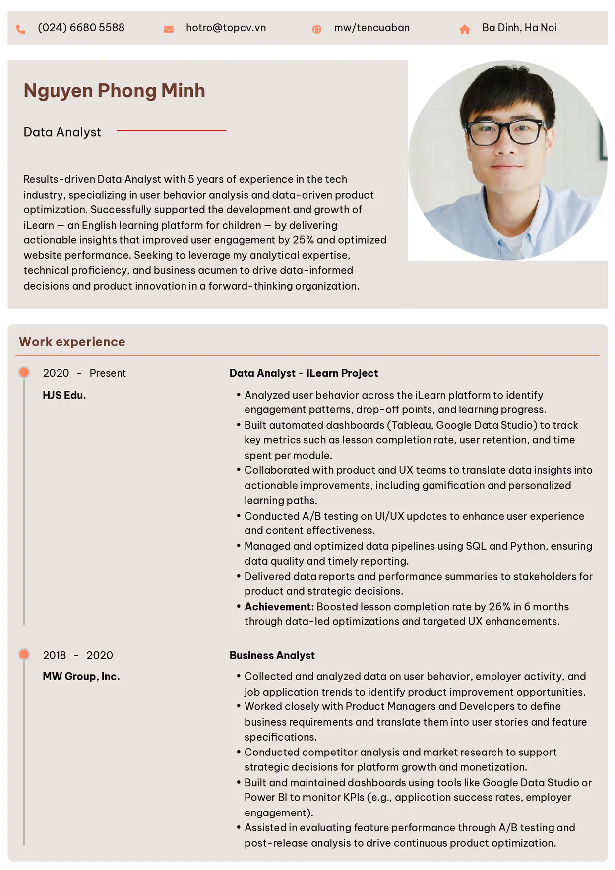 Mẫu CV xin việc Data Analyst style Trang trọng