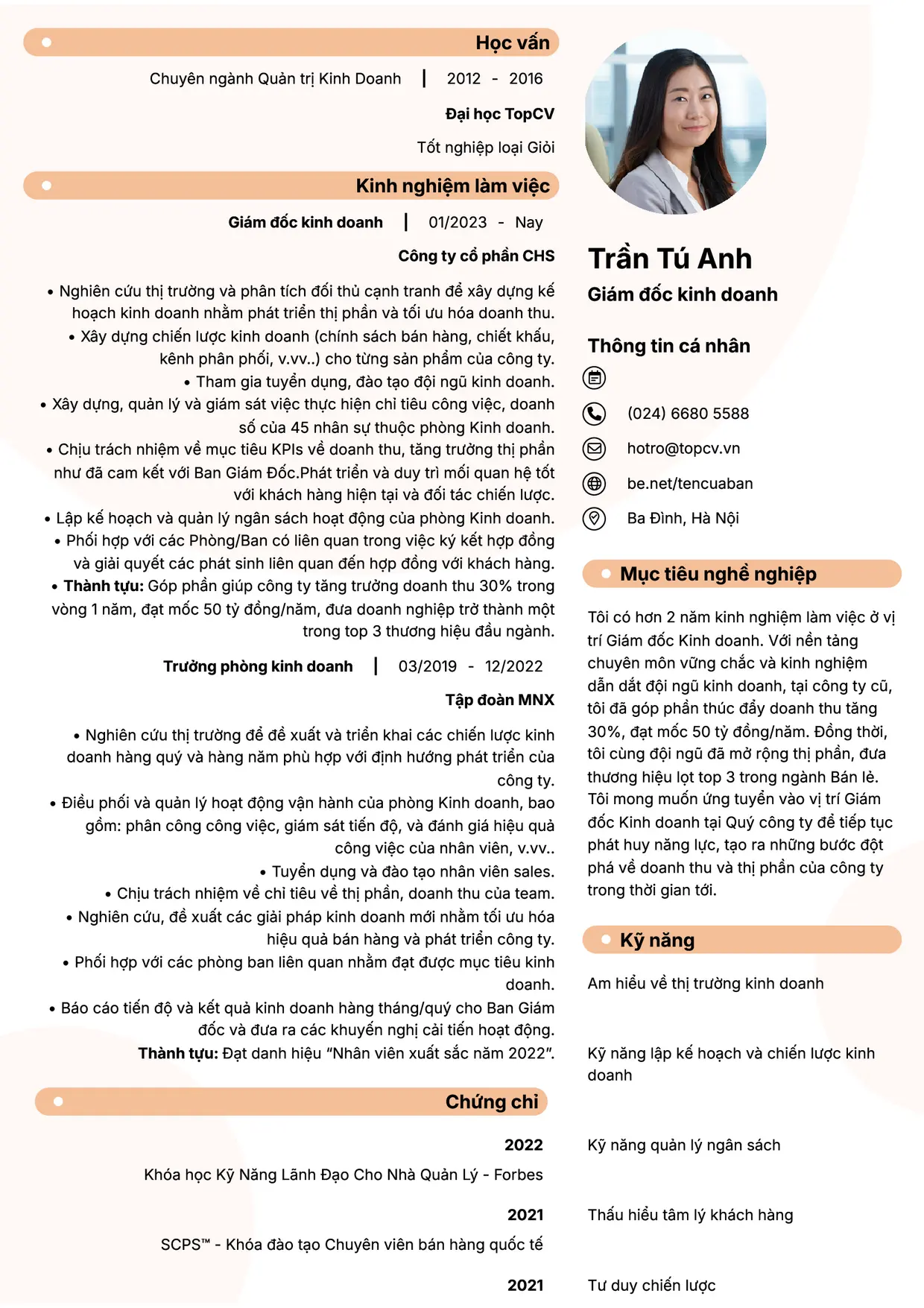 Mẫu CV xin việc Giám đốc kinh doanh style Basic 5