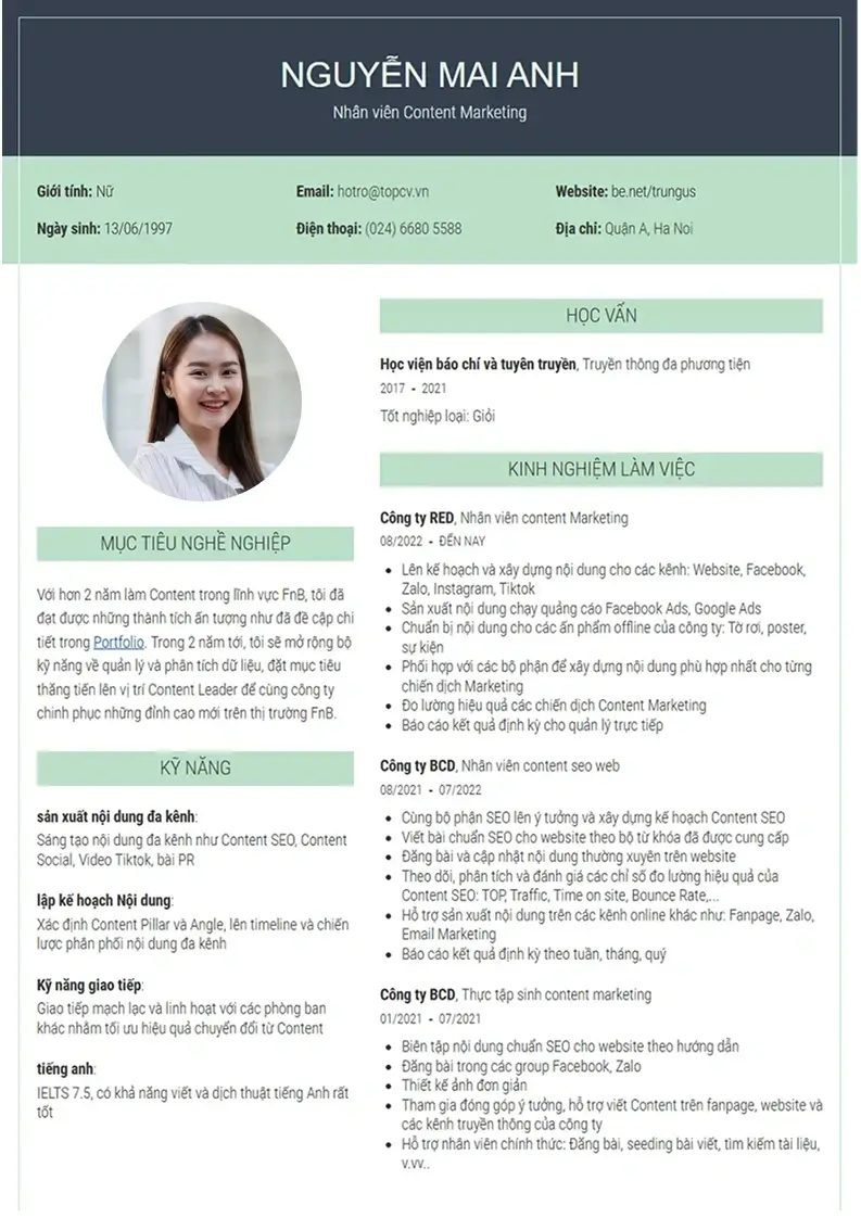 Mẫu CV xin việc Outstanding 7