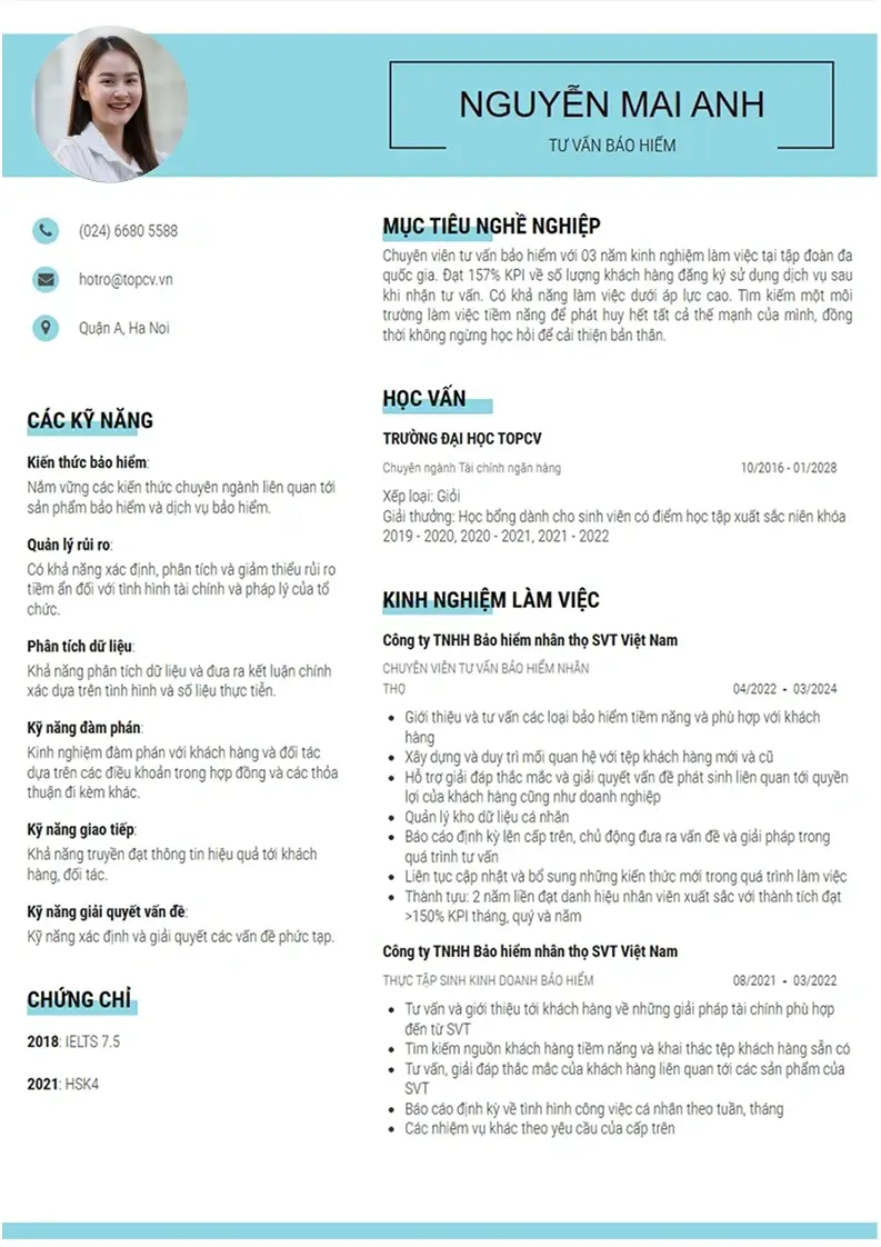 Mẫu CV xin việc Outstanding 9